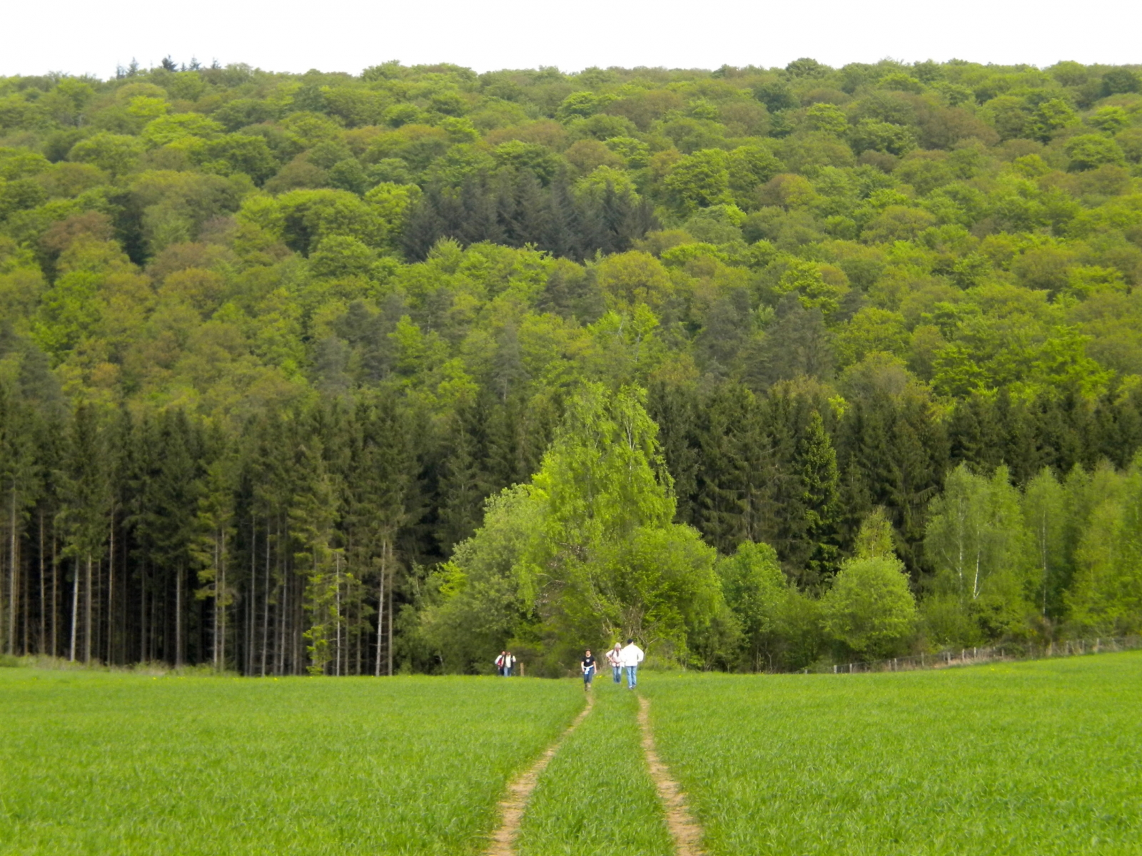 auberge-du-sabotier thumbnail