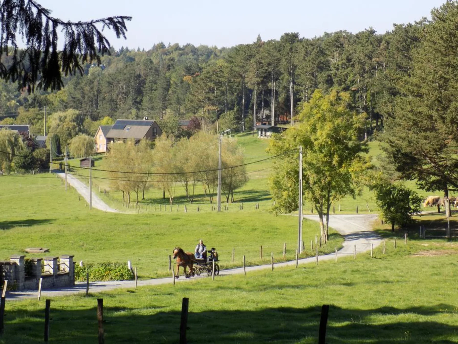 bed-and-breakfast-les-buissonnets-de-longchamps thumbnail