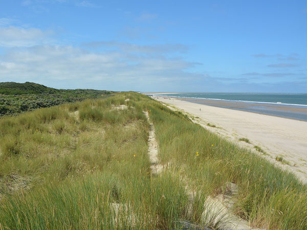 hotel-fletcher-strandhotel-renesse thumbnail