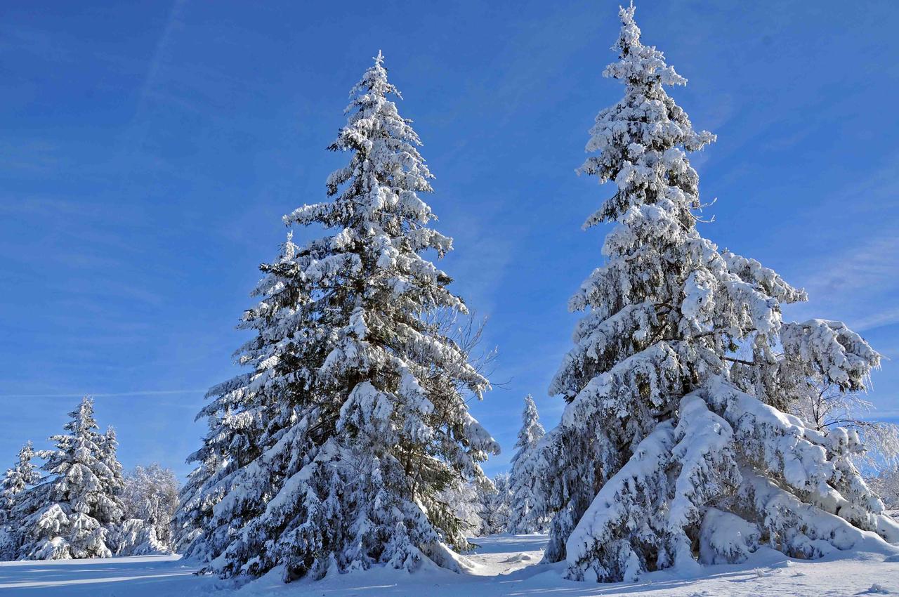 hotel-niedersfeld-winterberg thumbnail