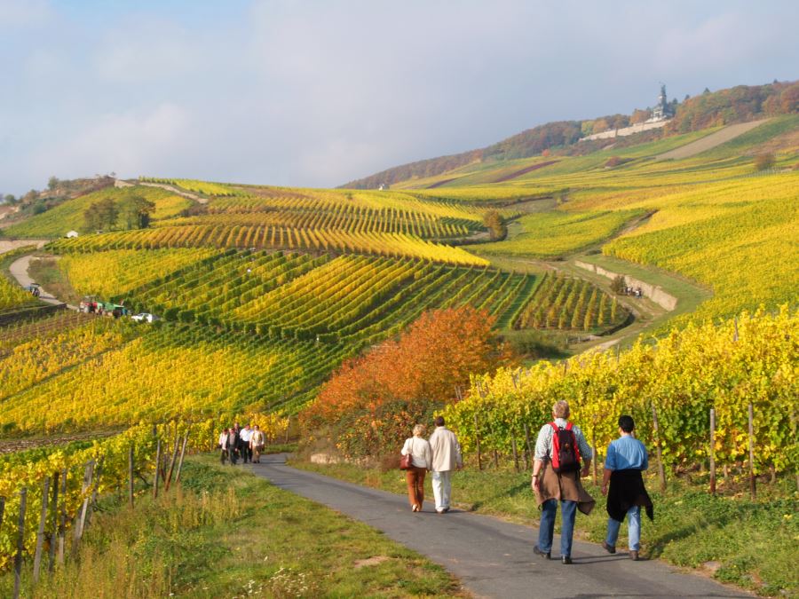 hotel-zum-grunen-kranz thumbnail