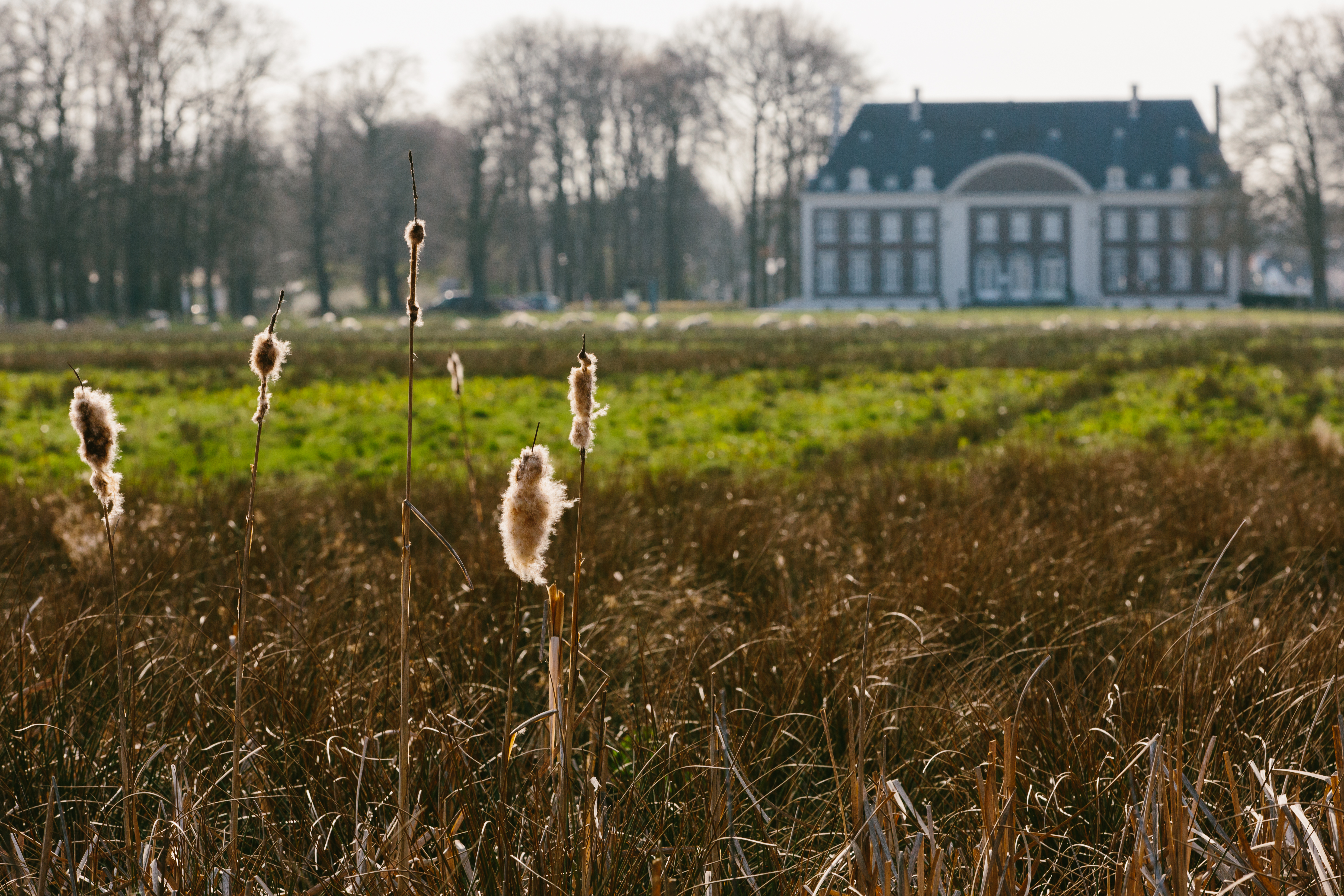 kasteel-pietersheim thumbnail