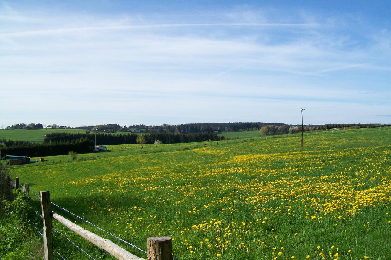 landhaus-eifelsicht thumbnail