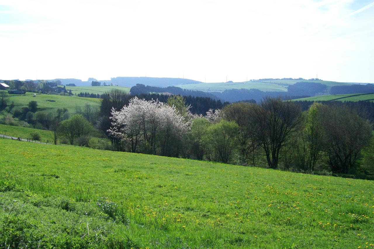 landhaus-eifelsicht thumbnail