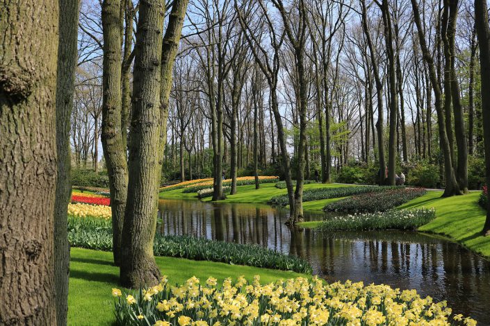 Keukenhof